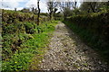 Bridleway from Didworthy to Lutton