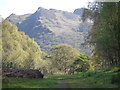 View from track towards Dolgledr