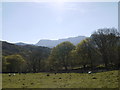 Cader Idris in the distance