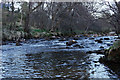 River Nethy at Dusk