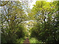 Broad Lane near Coalpit Heath