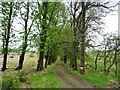 Bridleway to Binsey Plantation