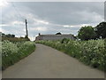 Access  road  to  Carlton  Ashes  Farm