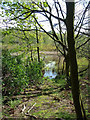 Kirkbride Pond View