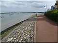 Riverside walkway near Finsborough Ness