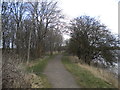 SK6643 : Trentside footpath, Burton Meadows by Richard Vince