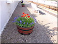 NO8686 : Flower tub on Stonehaven station platform by Stanley Howe
