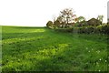 Field by Bankside