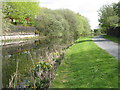 Forth and Clyde Canal