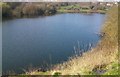 Pool at Buckpool Nature Reserve