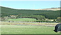 Farmland near Elvanfoot