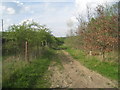 The Viking Way alongside the railway