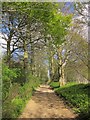 Bridleway to Ingerthorpe Hall