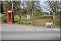 A sheep and a telecommunication centre