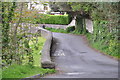 North Devon : Small Lane