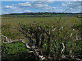 Farmland east of the village of Hose