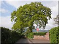 Lane to Portman Farm