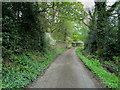 Lane outside Simonstone Hall