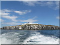 NU2135 : Lighthouse, Inner Farne by N Chadwick