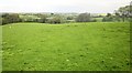 Sheep pasture near Hawkridge Reservoir