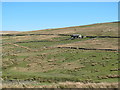 Rough pastures in upper Swin Hope