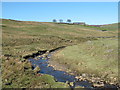 Swinhope Burn and farmland around Elpha Green