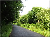 C1924 : Road, Moylehill by Richard Webb