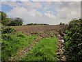 Arable field by Bonson Hill