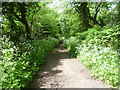 The London LOOP along Grove Lane