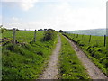 Lane, Magheranageeragh