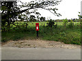 TM4396 : Hall Road Postbox by Geographer