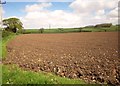 Ploughed field near Stogursey