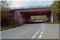 Motorway bridge