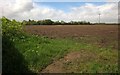 Field near Burton