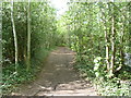 Path alongside Woodmansterne Road