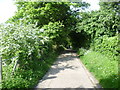 Telegraph Track reaches Carshalton Beeches