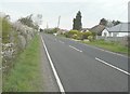 Houses along Mundon Road