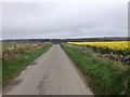 Minor road near Banchory-Devenick