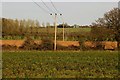 Electricity poles across the fields