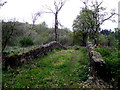 Small bridge, Corchoney