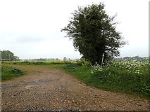 TM4091 : Footpath to Geldeston Road by Geographer