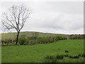 Field, Cairnbog