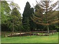 Pond at Frensham Garden Centre