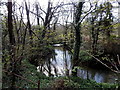 Cartlett Brook, Haverfordwest