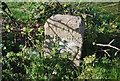 Stone by the Grand Union Canal