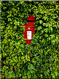 TM3891 : Station Road Postbox by Geographer