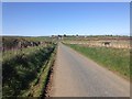 Minor road near Mains of Skelmanae