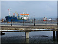 J3675 : Belfast Harbour Estate by Robert Ashby