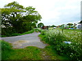 Footpath by allotments by Bilsham Road