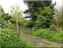 TM3892 : Bridleway to Heath Road & entrance to the Nursery by Geographer